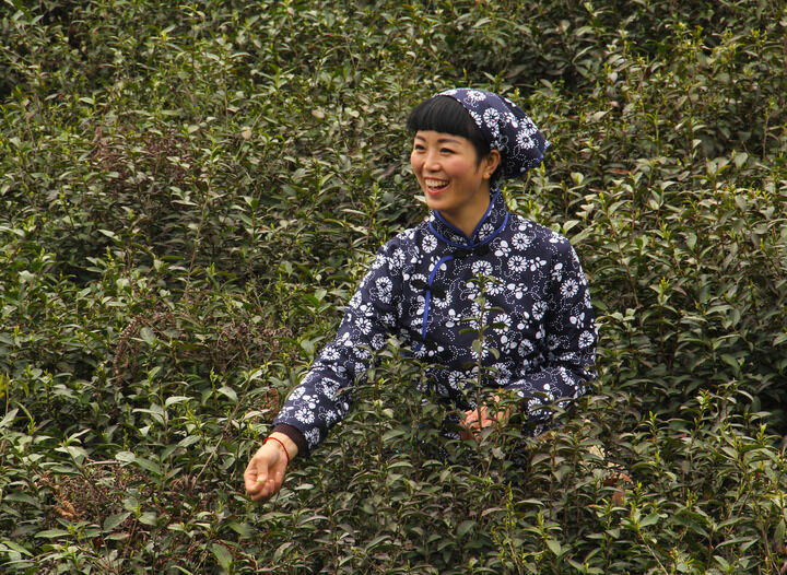悬疑短剧